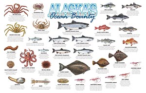Alaska's Ocean Bounty Poster