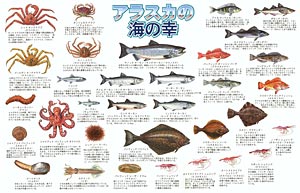 Alaska's Ocean Bounty Poster (Japanese)