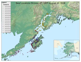 locations of harbor seals in Uganik Bay