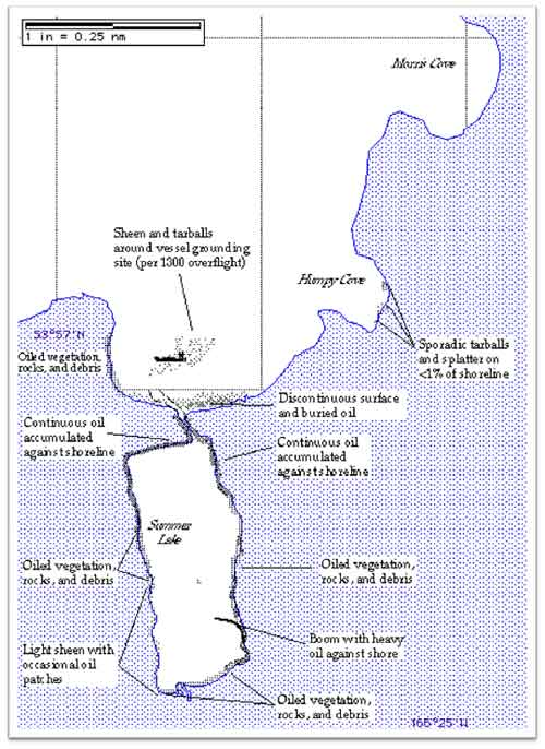 map of the oil spill in Summer Bay resulting from Kuroshima