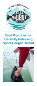 Best Practices for Carefully Releasing Sport-Caught Halibut