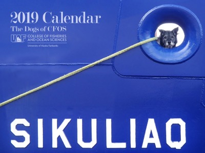 2019 CFOS Calendar