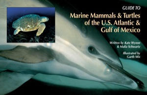 Guide to Marine Mammals and Turtles of the U.S. Atlantic and Gulf of Mexico