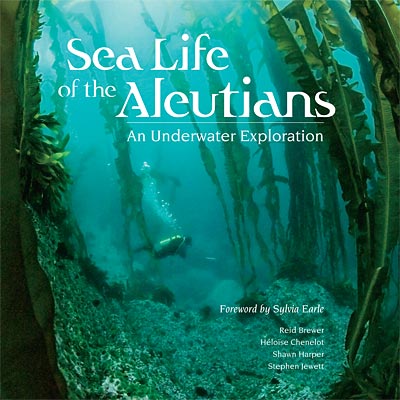 Sea Life of the Aleutians: An Underwater Exploration
