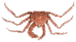 crab 2001 logo