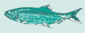 herring 2000 logo