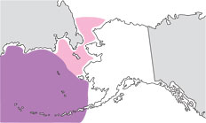 ribbon seal range map