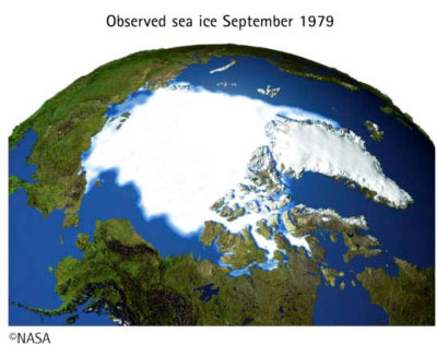 observed sea ice September in 1979