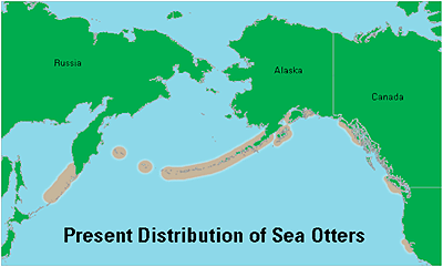 map of present distribution of sea otters